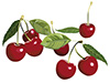 #2000034 - Cherries