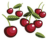 #2000035 - Cherries
