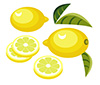 #2000076 - Lemon with slices and leaves