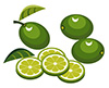#2000078 - Limes with slices
