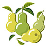 #2000104 - Simple Pears