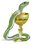 #2000151 - Green snake and golden goblet
