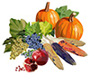 #2000157 - Fruits and vegetables for Thanksgiving