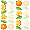 #2000295 - Seamless background pattern with oranges, orange